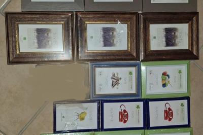 Immagine di copertina dell'inserzione Cornici d'occasione