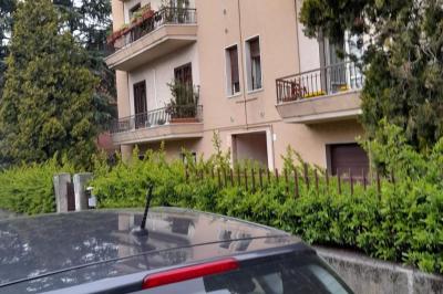 Immagine di copertina dell'inserzione Affitto trilocale