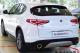 immagine supplementare dell'inserzione ALFA STELVIO 2.0 TURBO 200CV AT8 Q4
