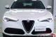 immagine supplementare dell'inserzione ALFA STELVIO 2.0 TURBO 200CV AT8 Q4