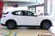 immagine supplementare dell'inserzione ALFA STELVIO 2.0 TURBO 200CV AT8 Q4