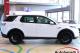 immagine supplementare dell'inserzione L. R. DISCOVERY SPORT 2.0TD4 IBRIDA 150CV AWD SE