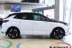 immagine supplementare dell'inserzione OPEL GRANDLAND 1.6 PHEV GSe 4WD 300CV AUTOMATICA